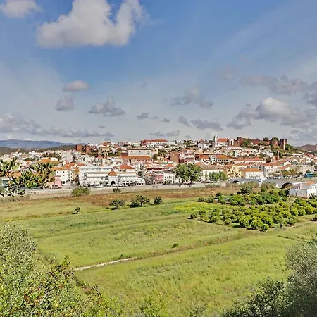 Classic By Homing * Silves